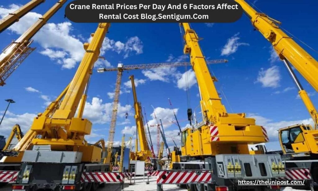 Crane Rental Prices Per Day And 6 Factors Affect Rental Cost Blog.Sentigum.Com